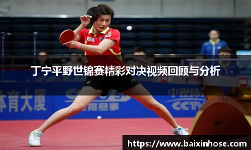 丁宁平野世锦赛精彩对决视频回顾与分析
